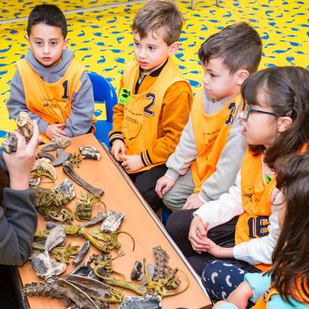 Taller infantil Excava y descubre