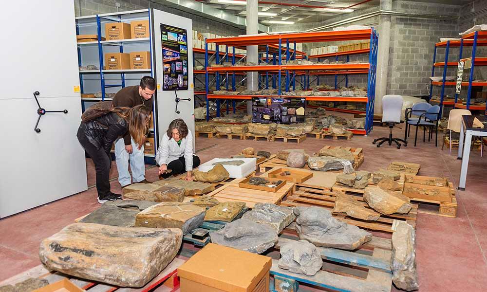 Ir a Imagen Semana de la Ciencia en el MUJA