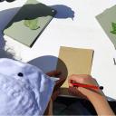 Imagen Día del Medio Ambiente 2026