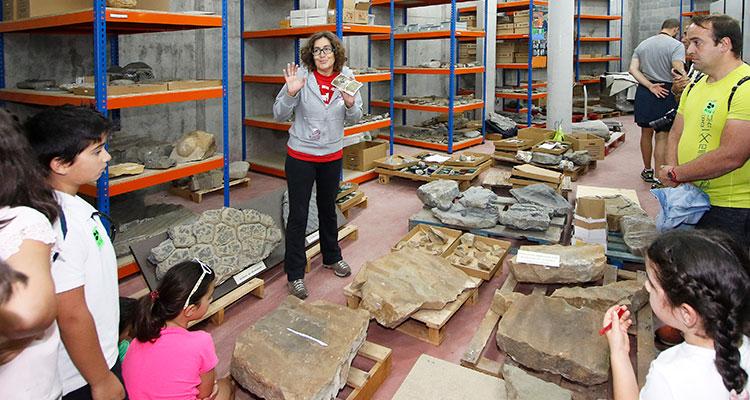 Ir a Imagen Semana de la Ciencia en el Museo del Jurásico de Asturias