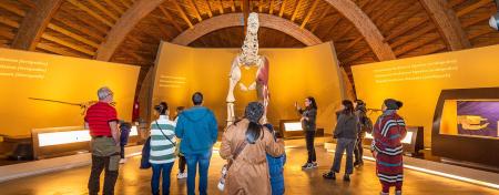 Imagen Visita en grupo