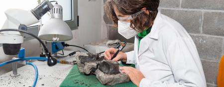 Imagen Proyecto Científico