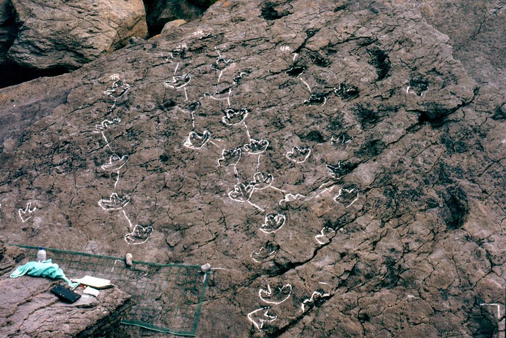 Imagen Acantilados de Tereñes