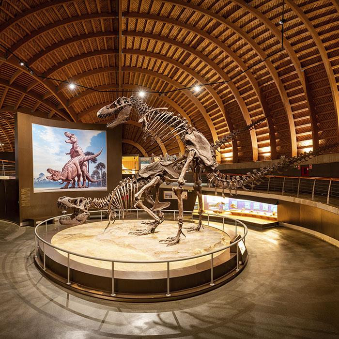 Imagen Compra de entradas